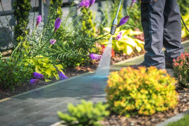 Best Dumpster Area Cleaning  in Spencerville, OH