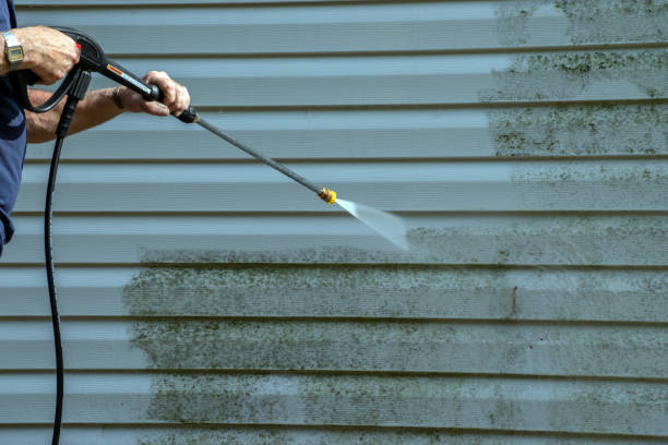 Best Paint Preparation  in Spencerville, OH